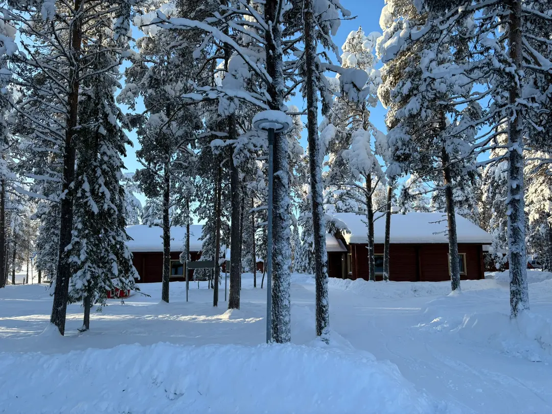 Log Cabin with Fire