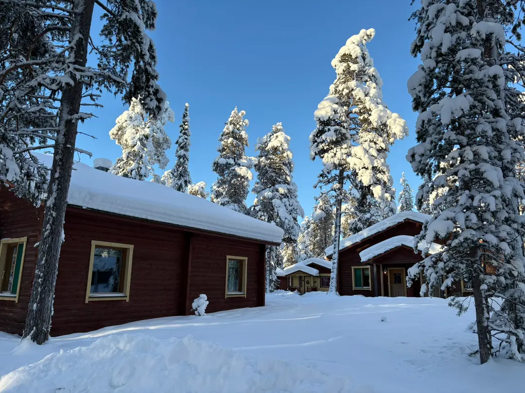 Cabin Room