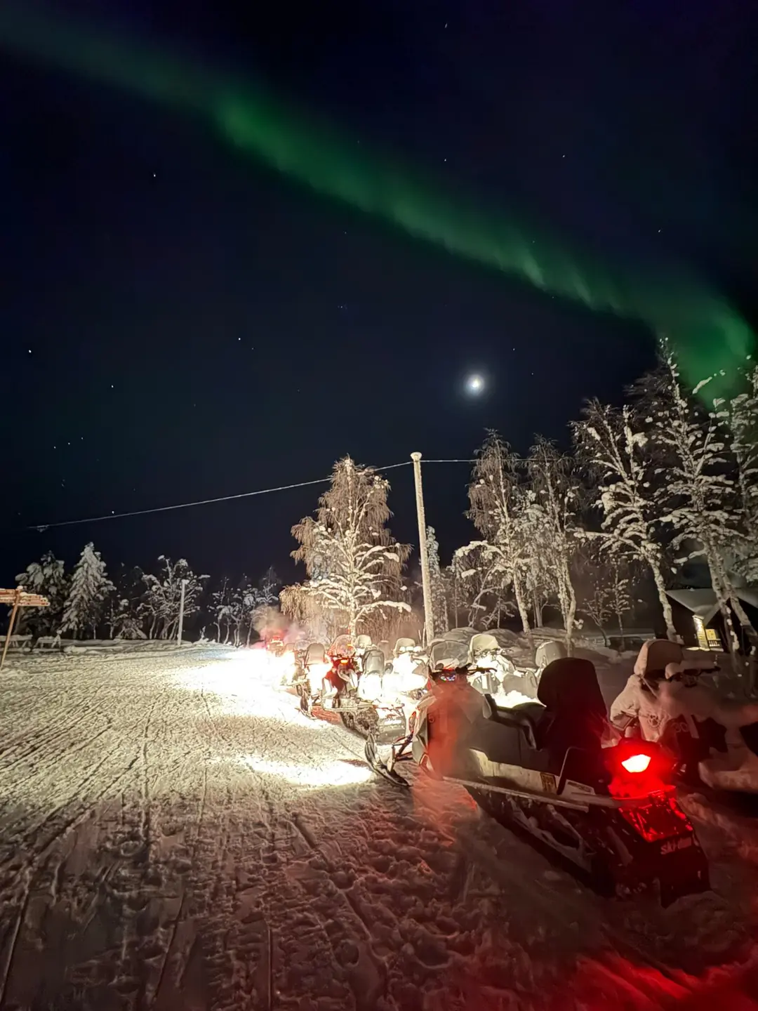 Reindeer sleighs under the northern lights