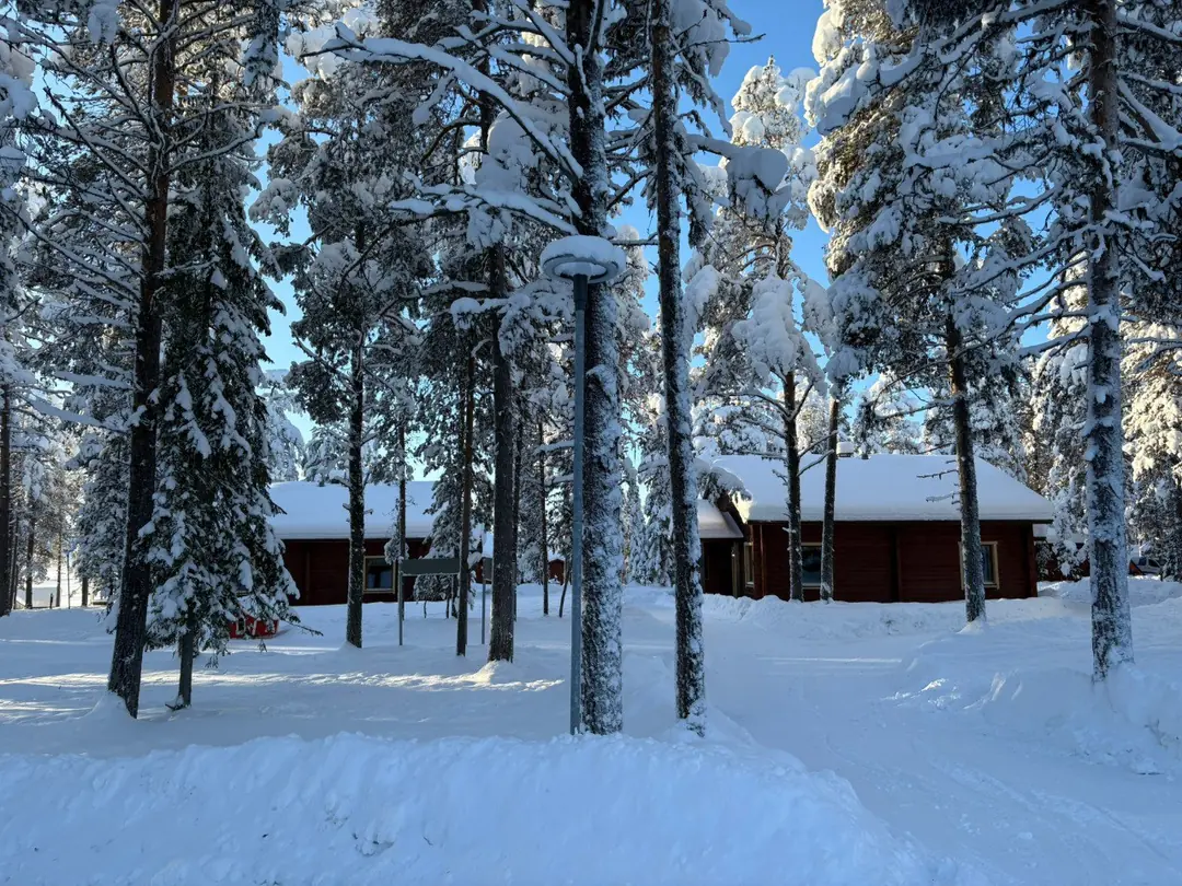 Snow-covered cabins among winter trees at Torassieppi