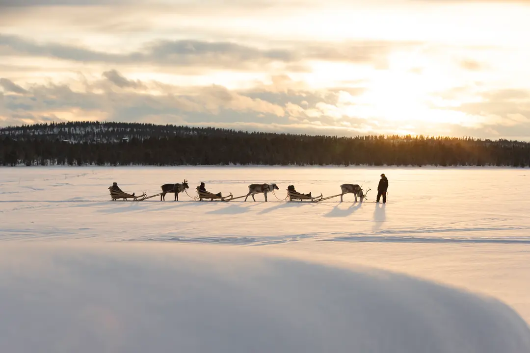 Beautiful Lapland winter scene