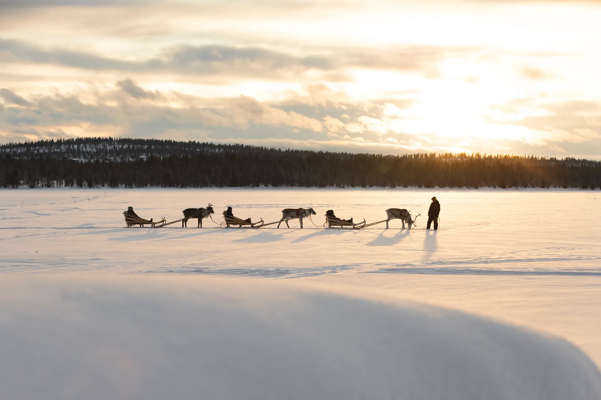 Lapland family holiday